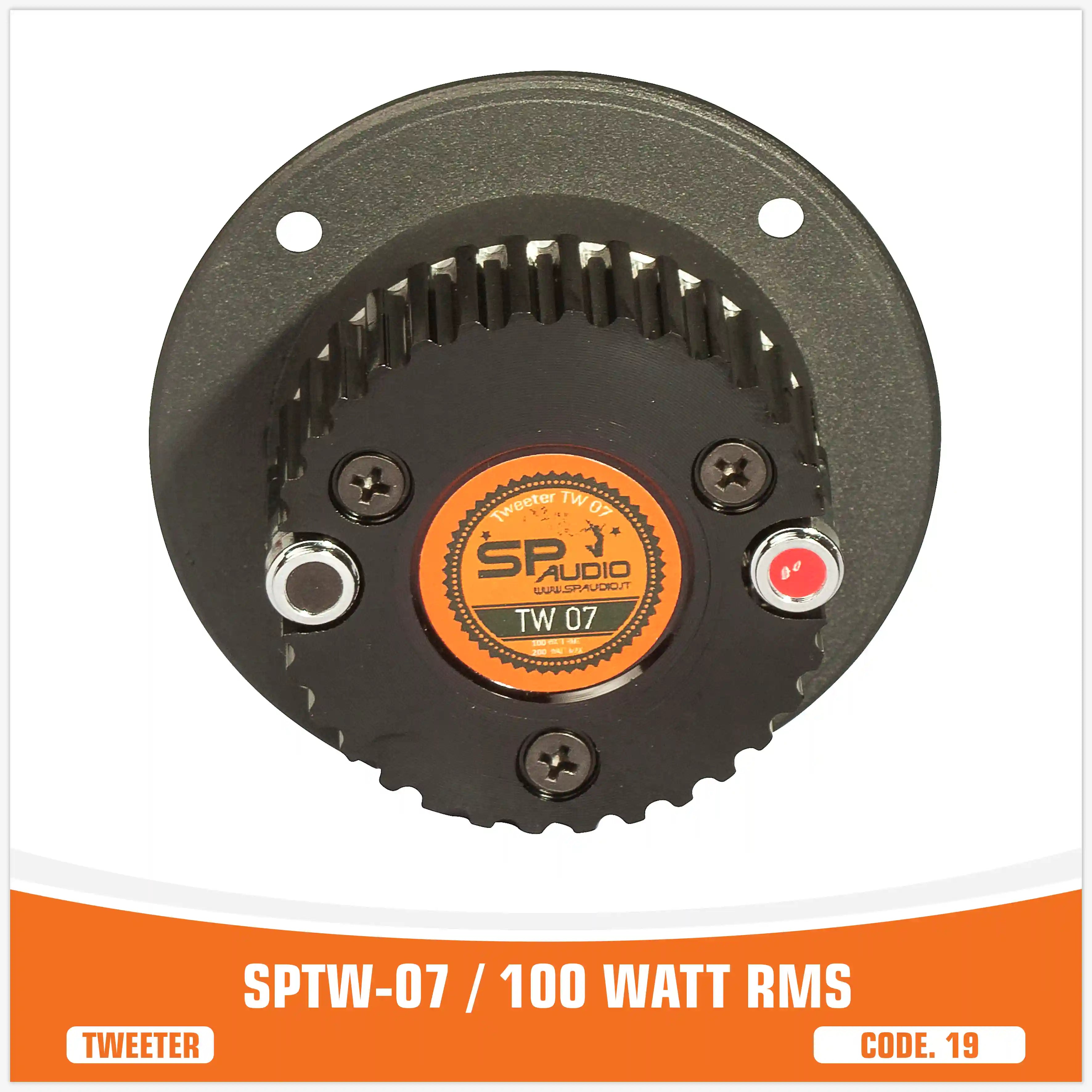SPTW-07 /100 WATT RMS (PREZZO UNITARIO)