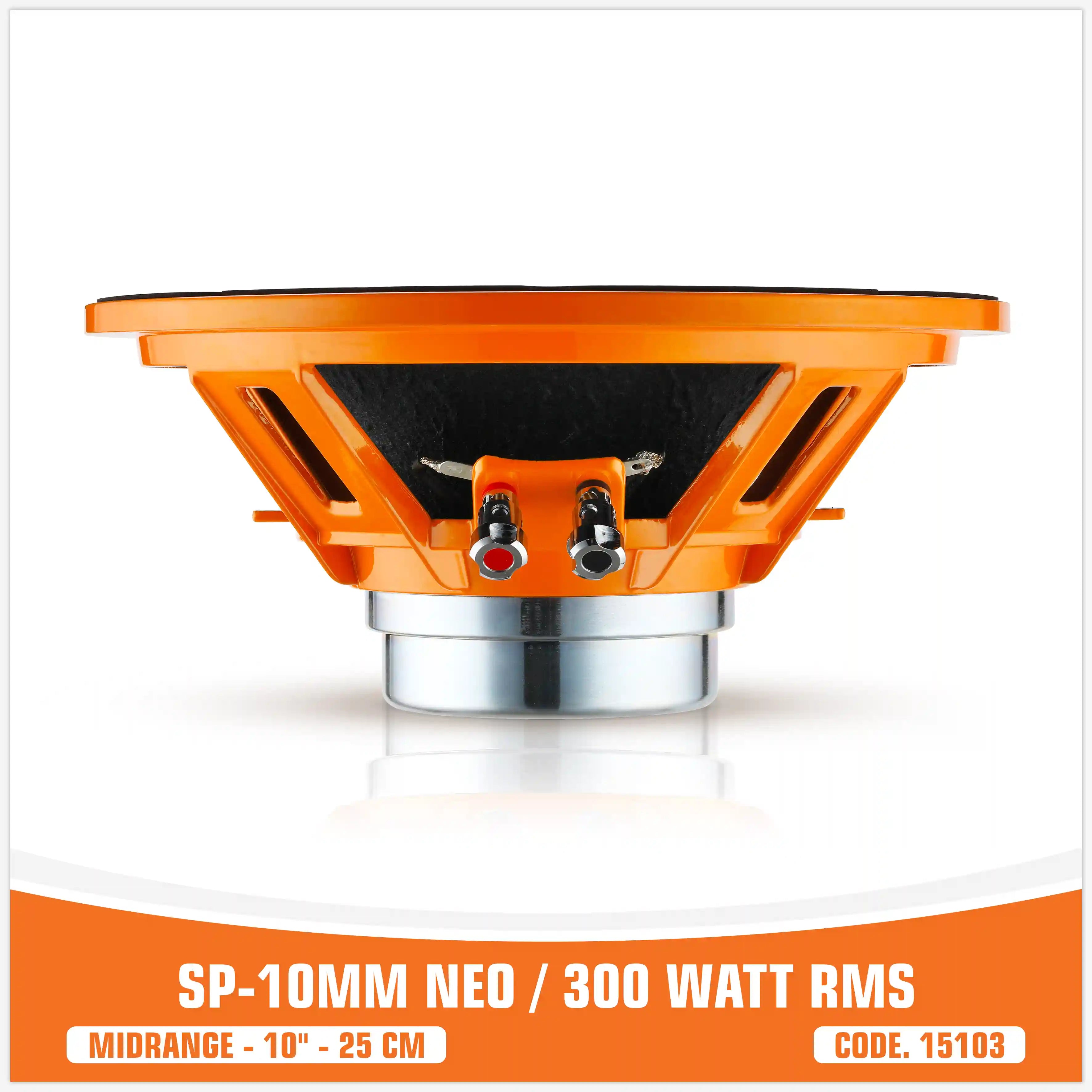 SP 10MM NEO MIDRANGE ESTREMO 10"/25CM MAGNETE NEODIMIO 300W RMS (PREZZO UNITARIO)