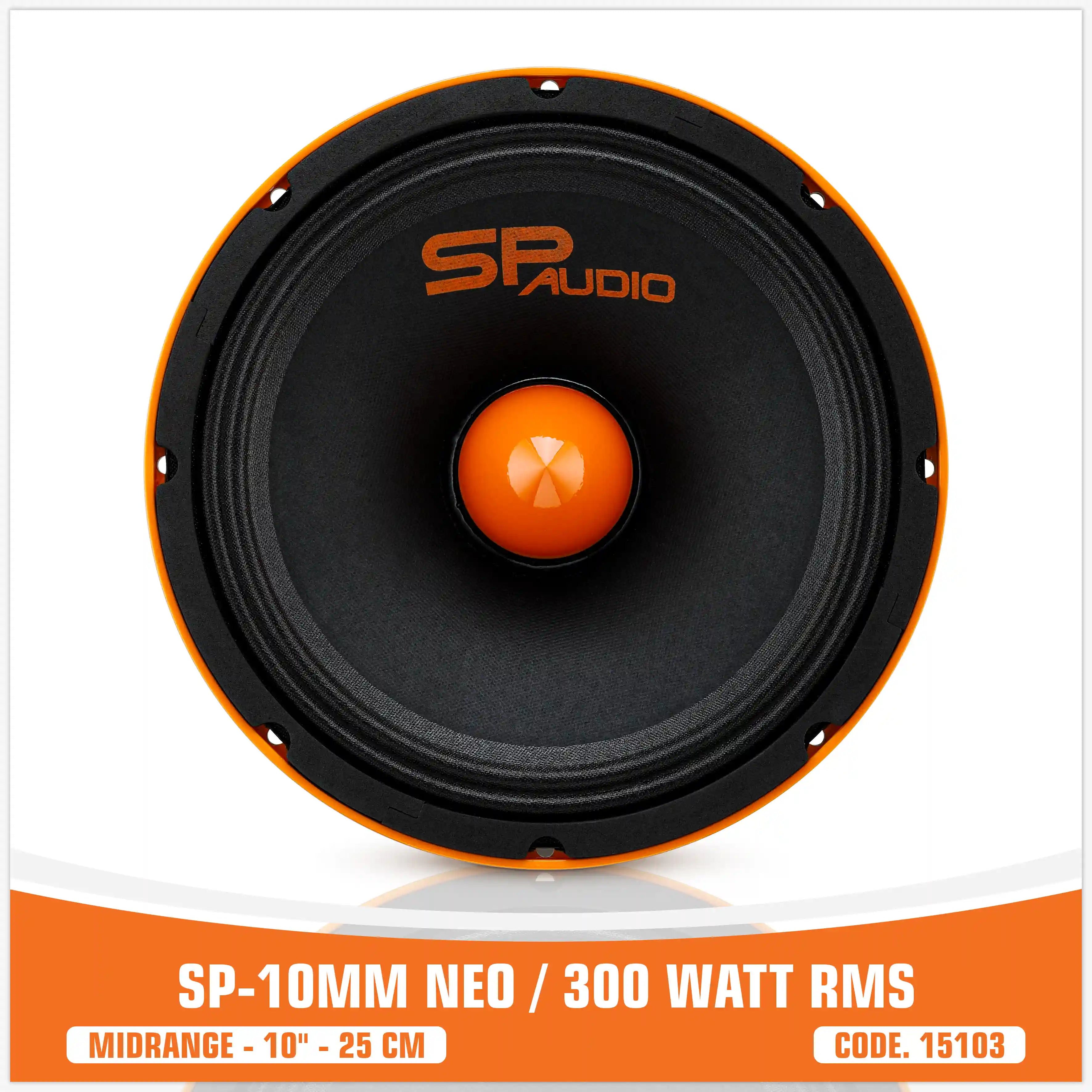 SP 10MM NEO MIDRANGE ESTREMO 10"/25CM MAGNETE NEODIMIO 300W RMS (PREZZO UNITARIO)