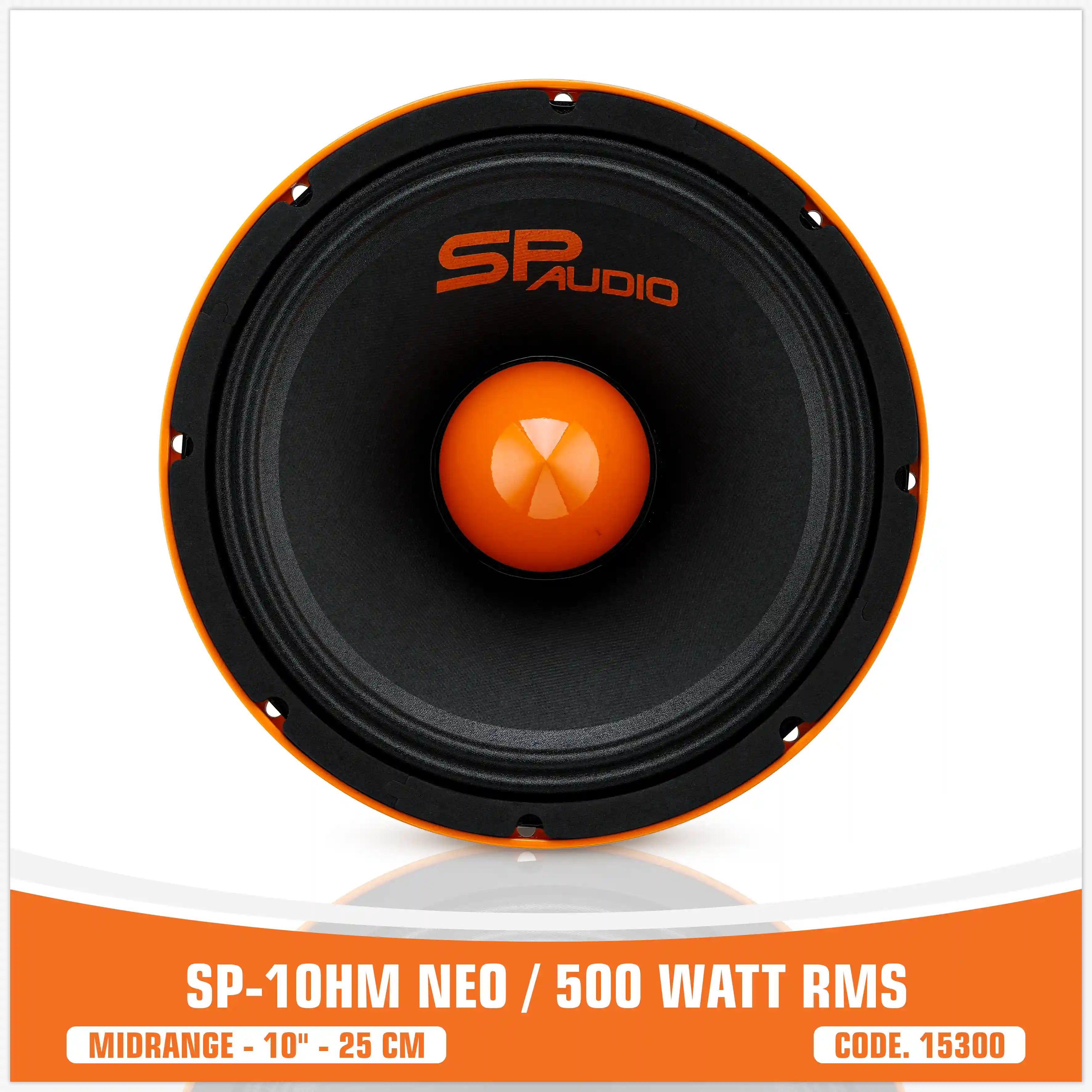 SP 10HM NEW MIDRANGE ESTREMO 10"/25CM MAGNETE NEODIMIO (PREZZO SINGOLO)