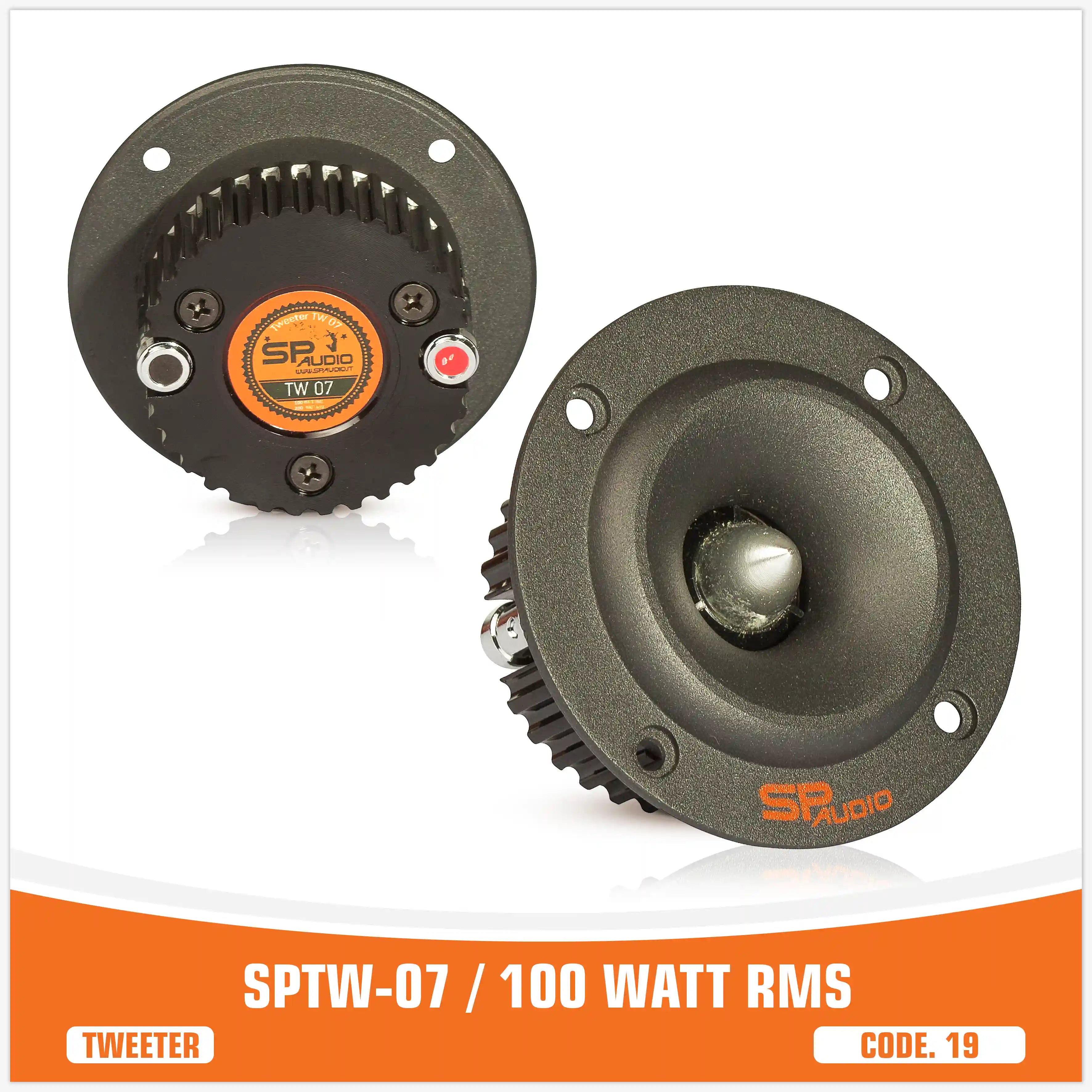 SPTW-07 /100 WATT RMS (PREZZO UNITARIO)