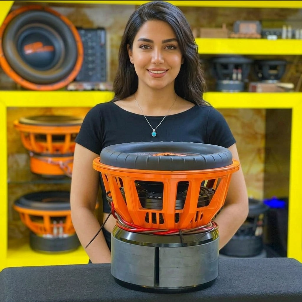 Basket and ferrite magnet assembly of the SP 15X subwoofer held in a car audio shop