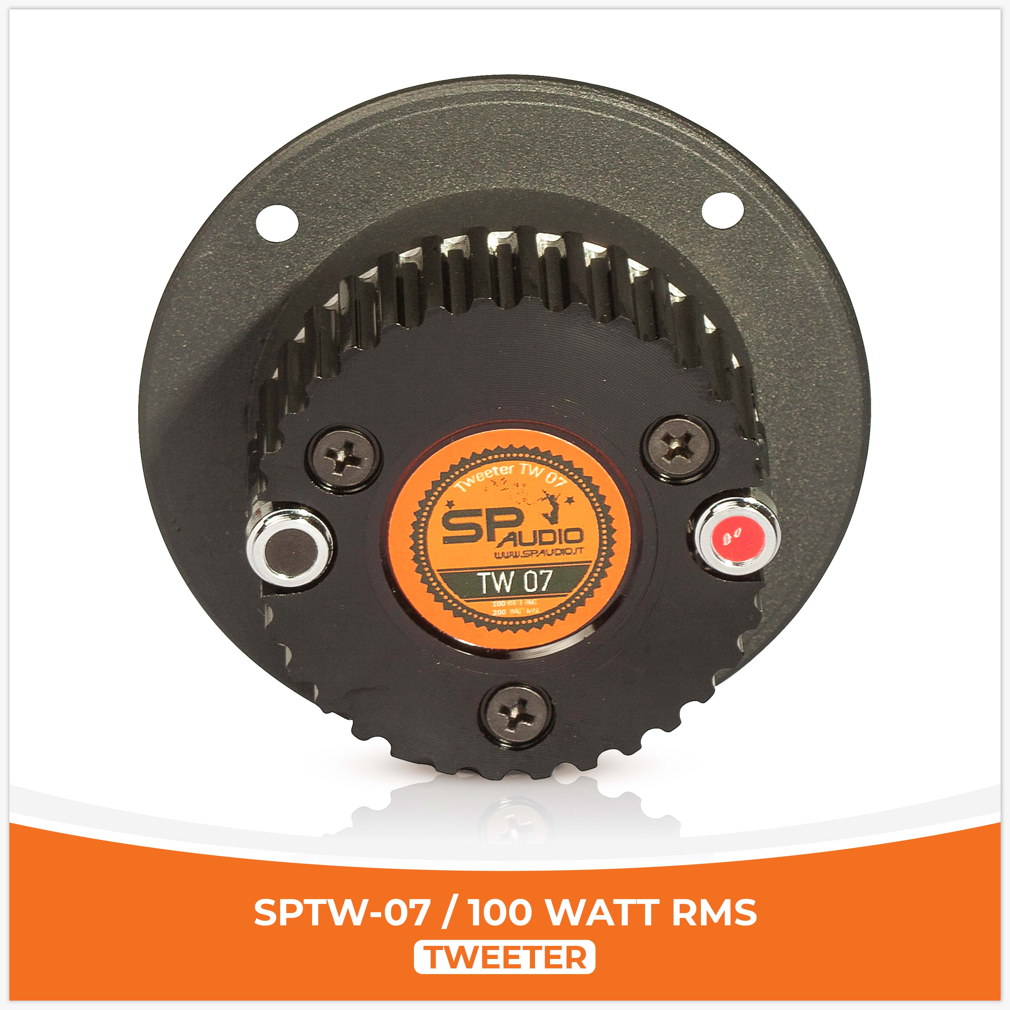 SPTW-07 /100 WATT RMS (PRECIO UNIDAD)