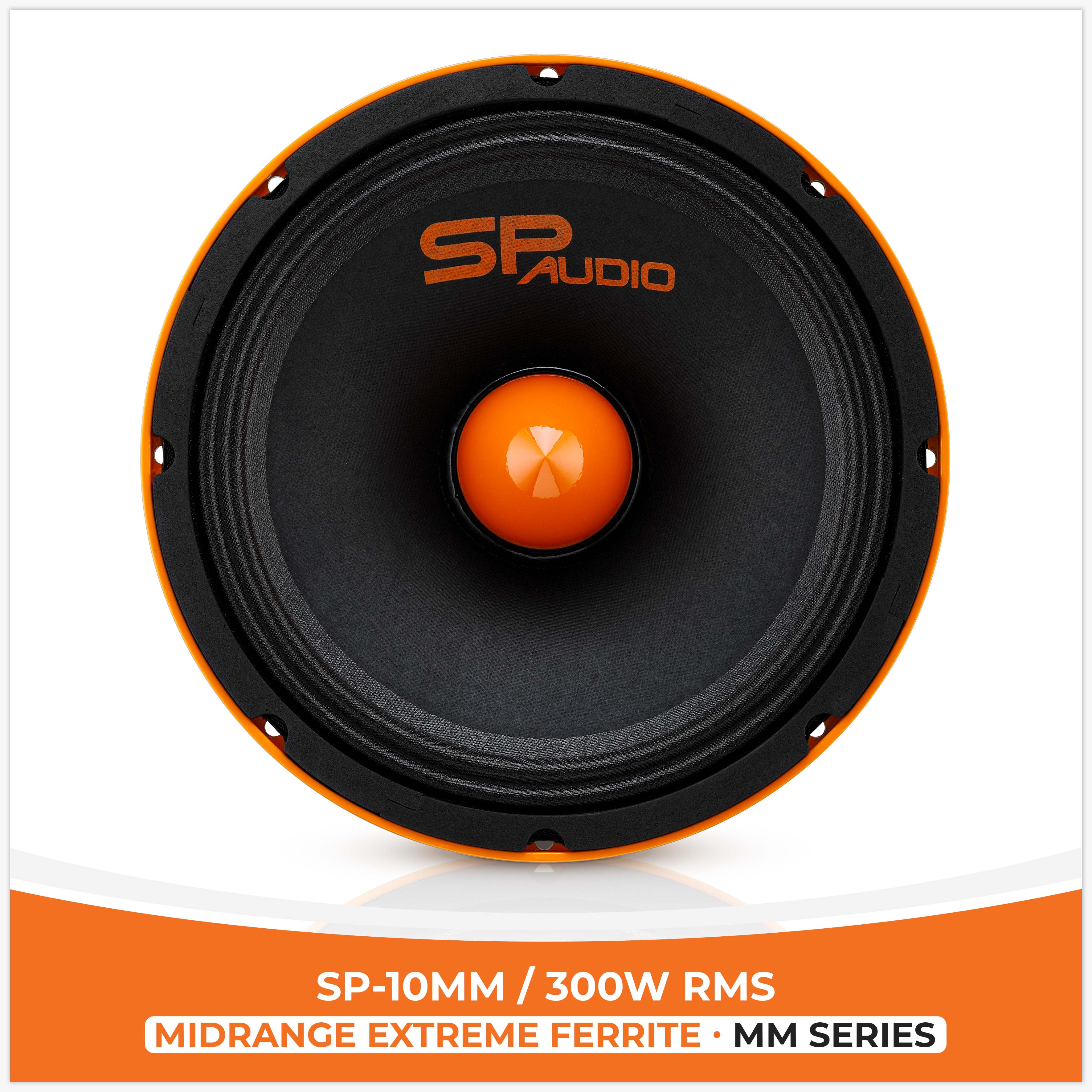  SP 10MM HAUT-PARLEUR BAS MEDIUM EXTRÊME 10"/25CM 300W RMS (PRIX ​​UNIQUE)